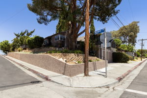  Photo 49