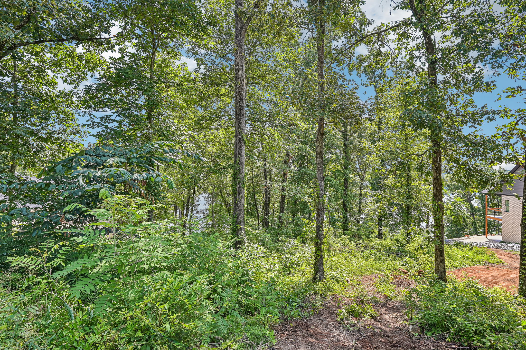 5-Lakeview Crest Dr-S1107-005