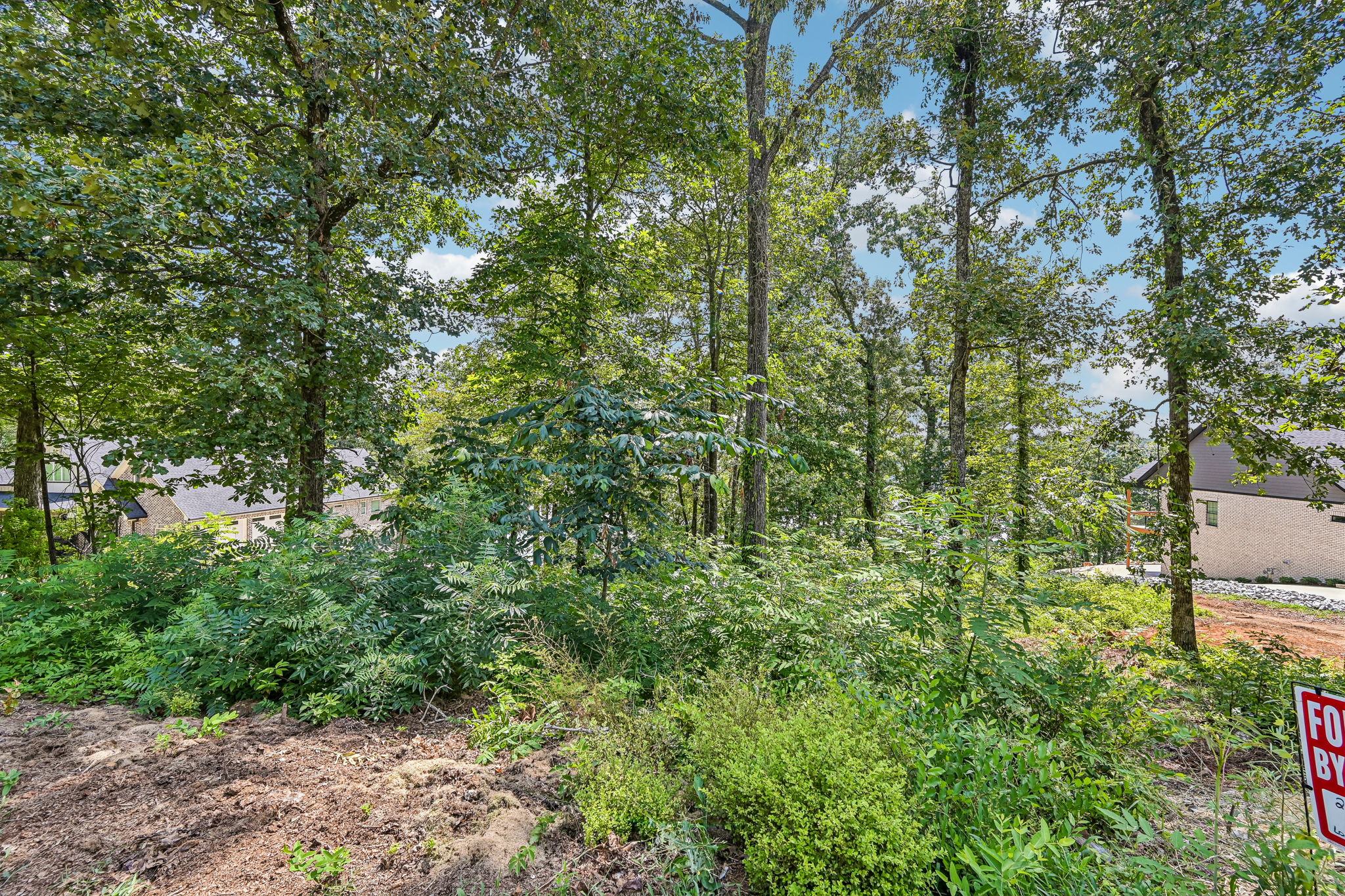 6-Lakeview Crest Dr-S1107-006