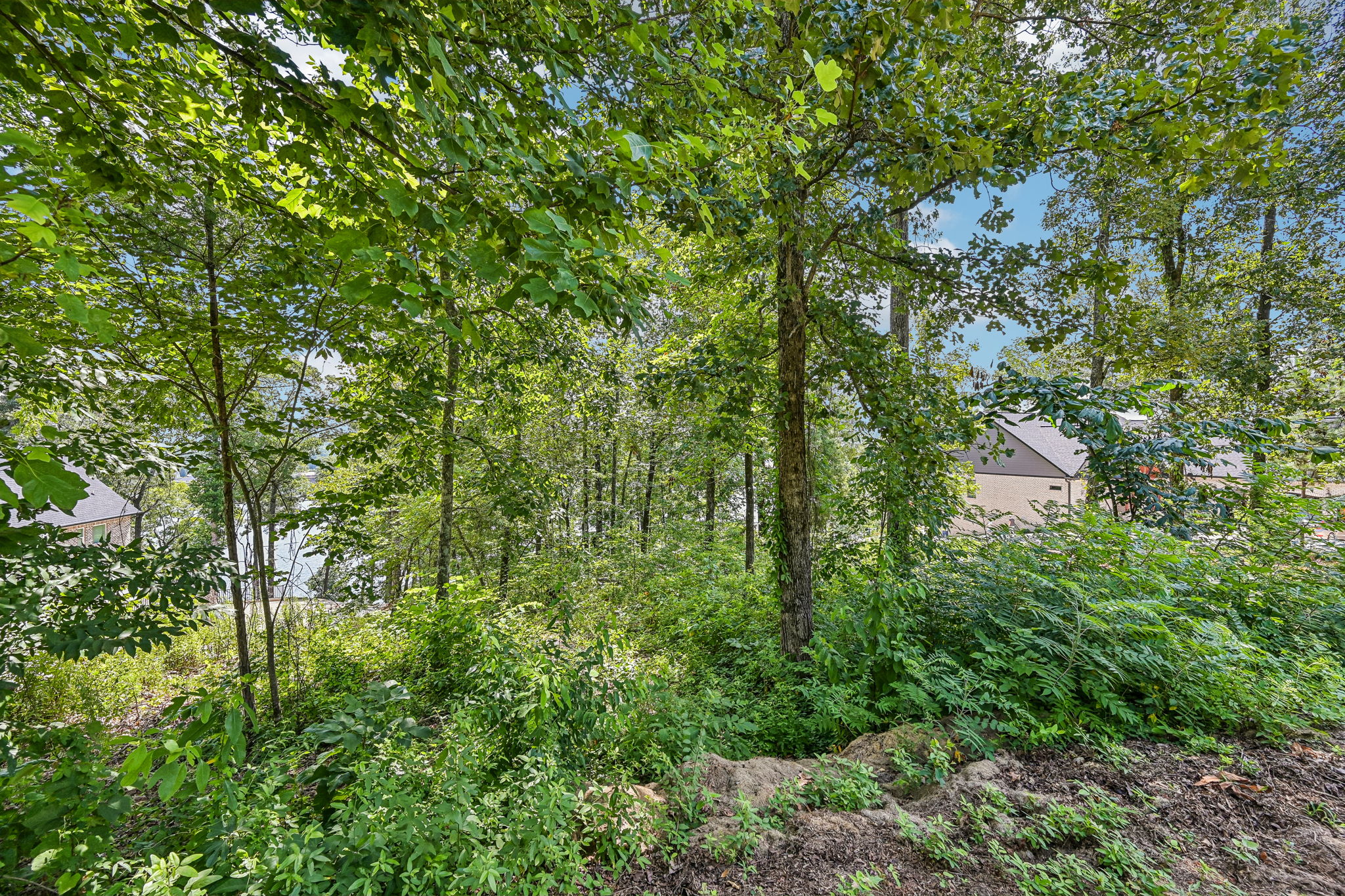 7-Lakeview Crest Dr-S1107-007