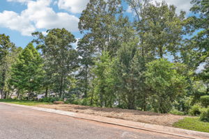 2-Lakeview Crest Dr-S1107-002