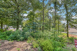 6-Lakeview Crest Dr-S1107-006