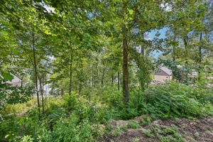 7-Lakeview Crest Dr-S1107-007