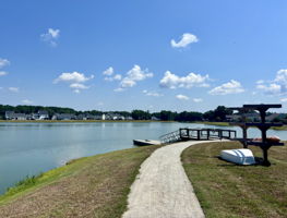 Photo 49