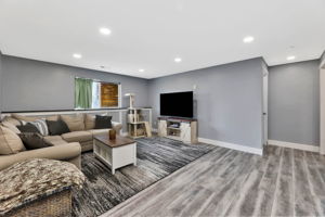 Basement Living Space