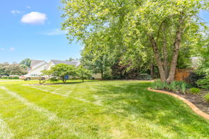 1001 Woodland Pointe Dr-31