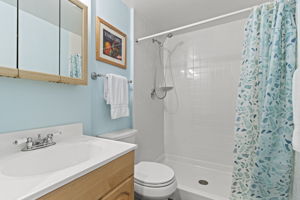 Lower-Level Bathroom