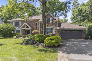 Welcome to Potomac Village!