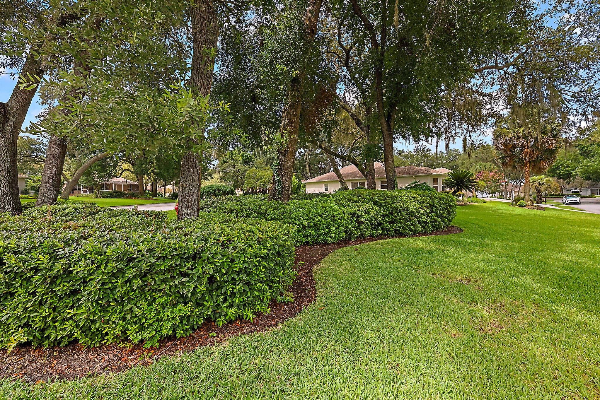 Large Corner Lot with Gorgeous, Mature Landscaping!
