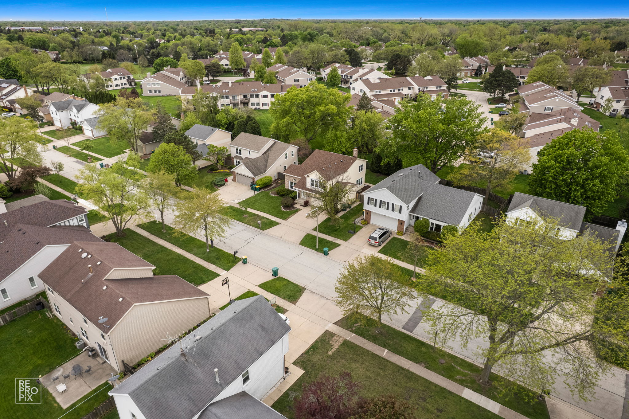 1002 Hobson Dr, Buffalo Grove, IL 60089_004