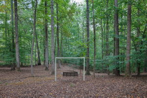 Photo 40
