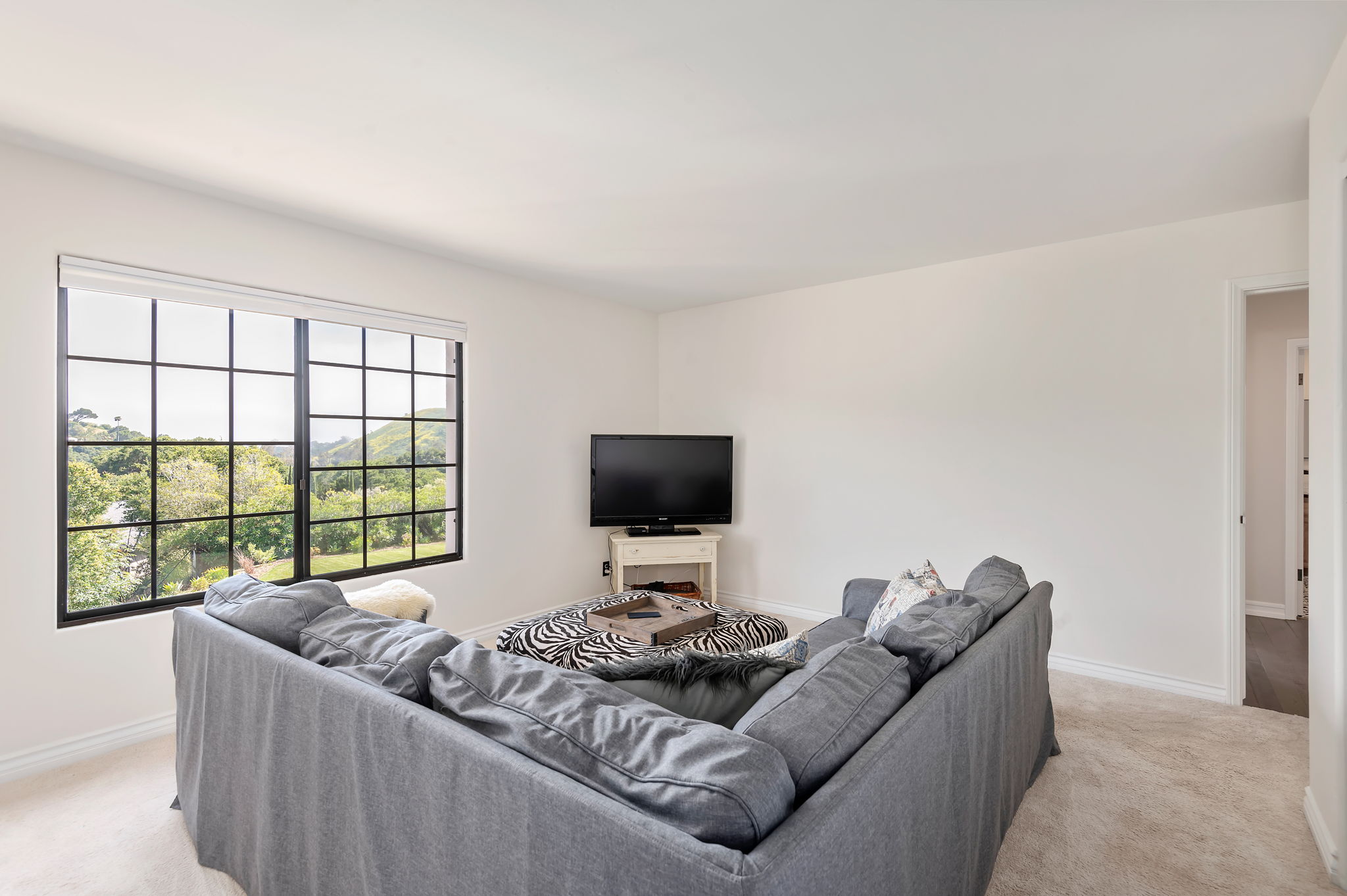 39 - Entertainment Room