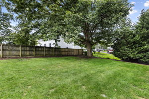 Expansive lawn with a beautiful white oak tree providing plenty of shade.