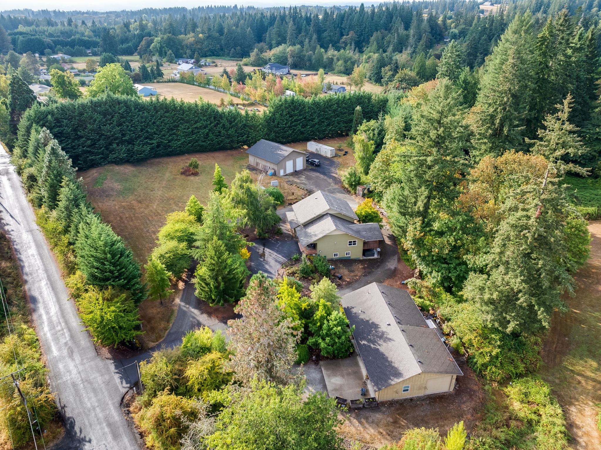  Photo 113