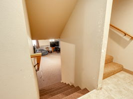  Photo 52