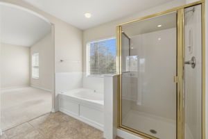 Primary Bathroom 2