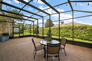 Birdcage with Privacy Landscaping
