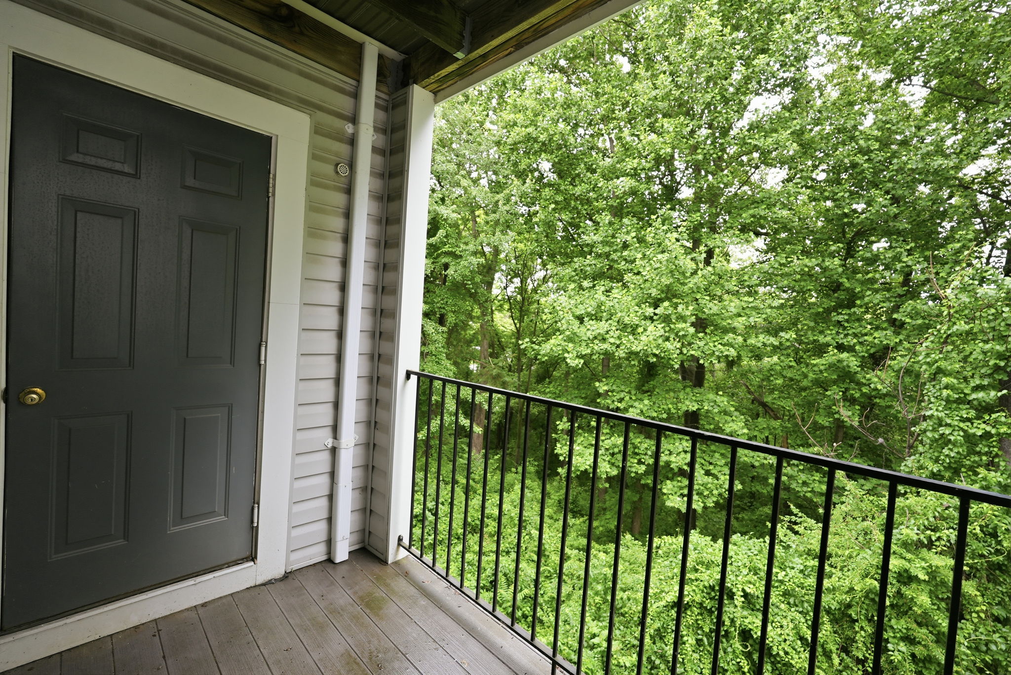 Deck Overlooking Treetops