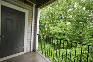 Deck Overlooking Treetops
