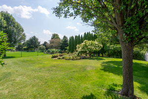  Photo 48