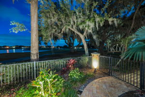 Backyard21