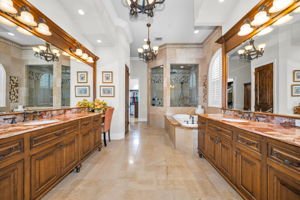 Primary Bathroom 1a