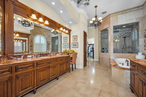 Primary Bathroom 1b