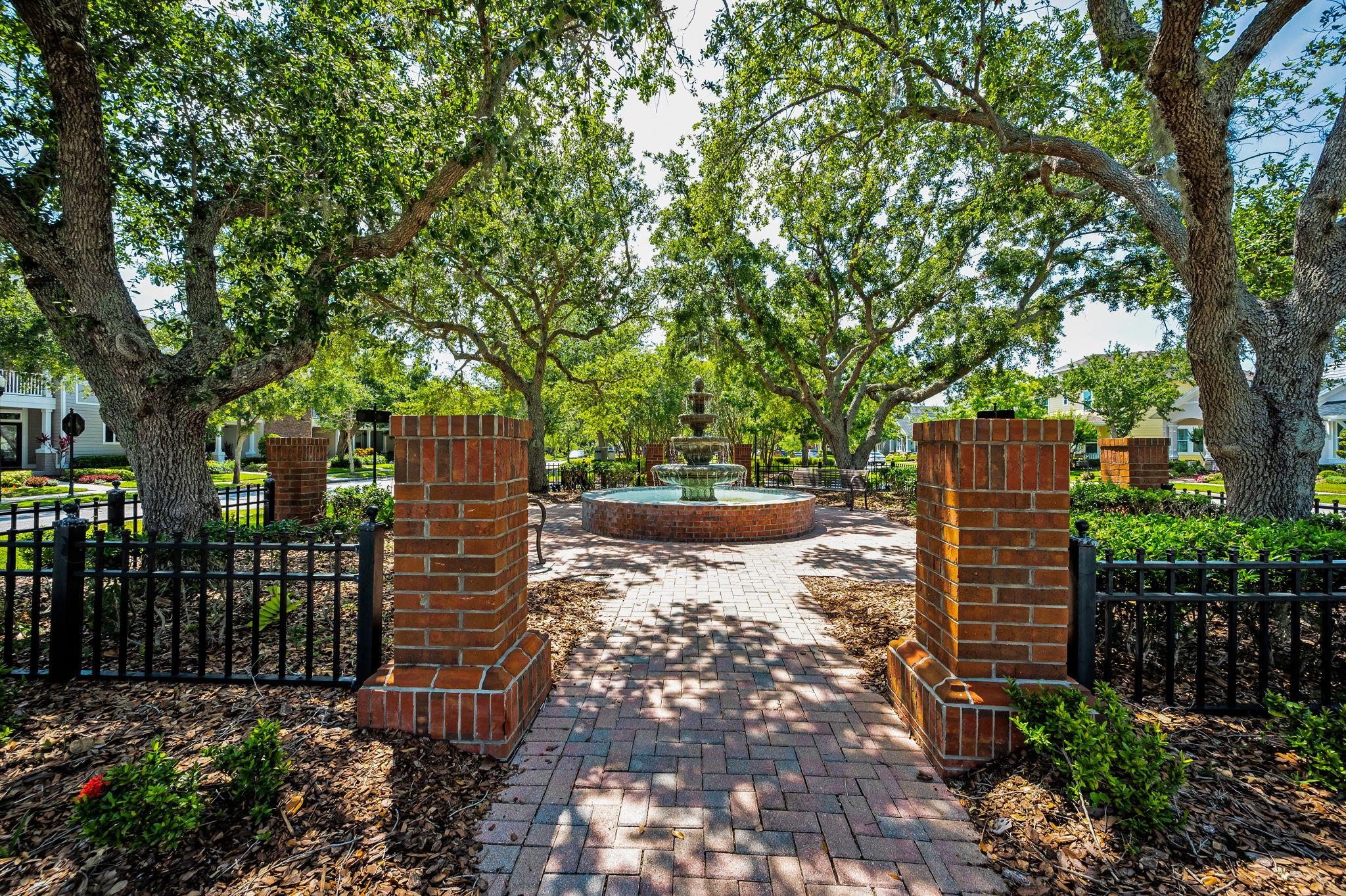 Park8