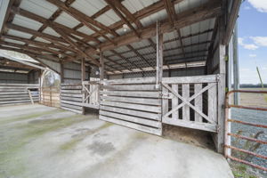 Horse Stables