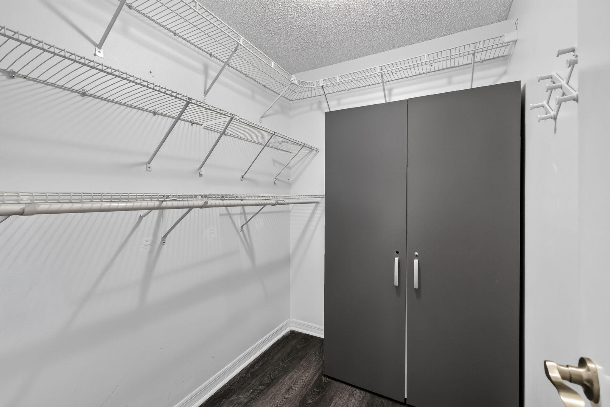 Primary Bedroom Walk-In Closet