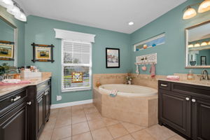 Master Bathroom1a