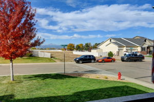  Photo 49