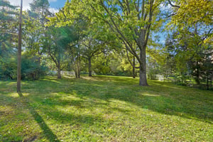 Nicollet Ave-S0810-027.jpg