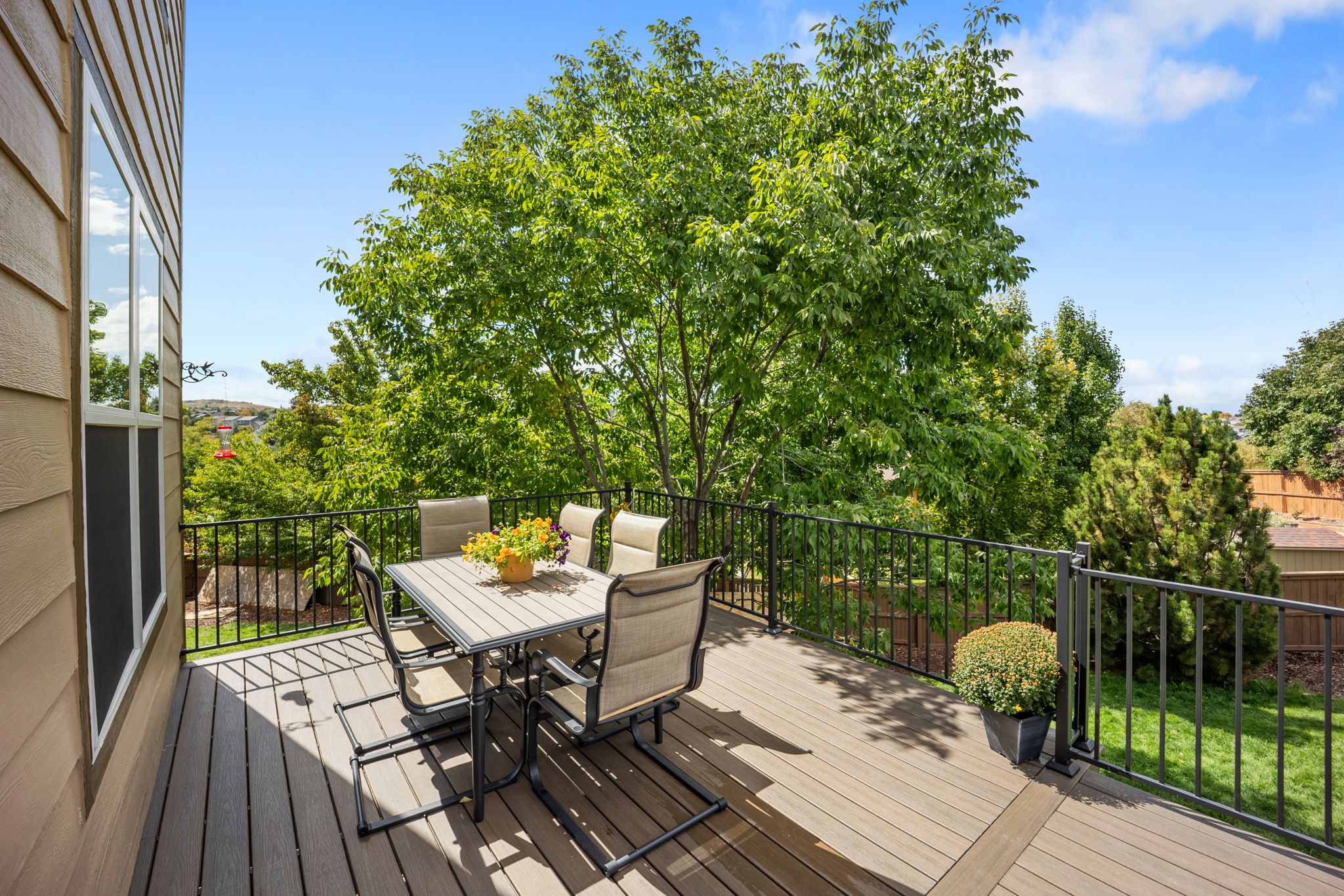Large Deck