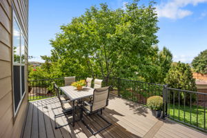 Large Deck
