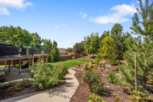 Mature Landscaping