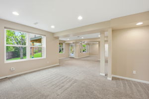 Walk-Out Basement