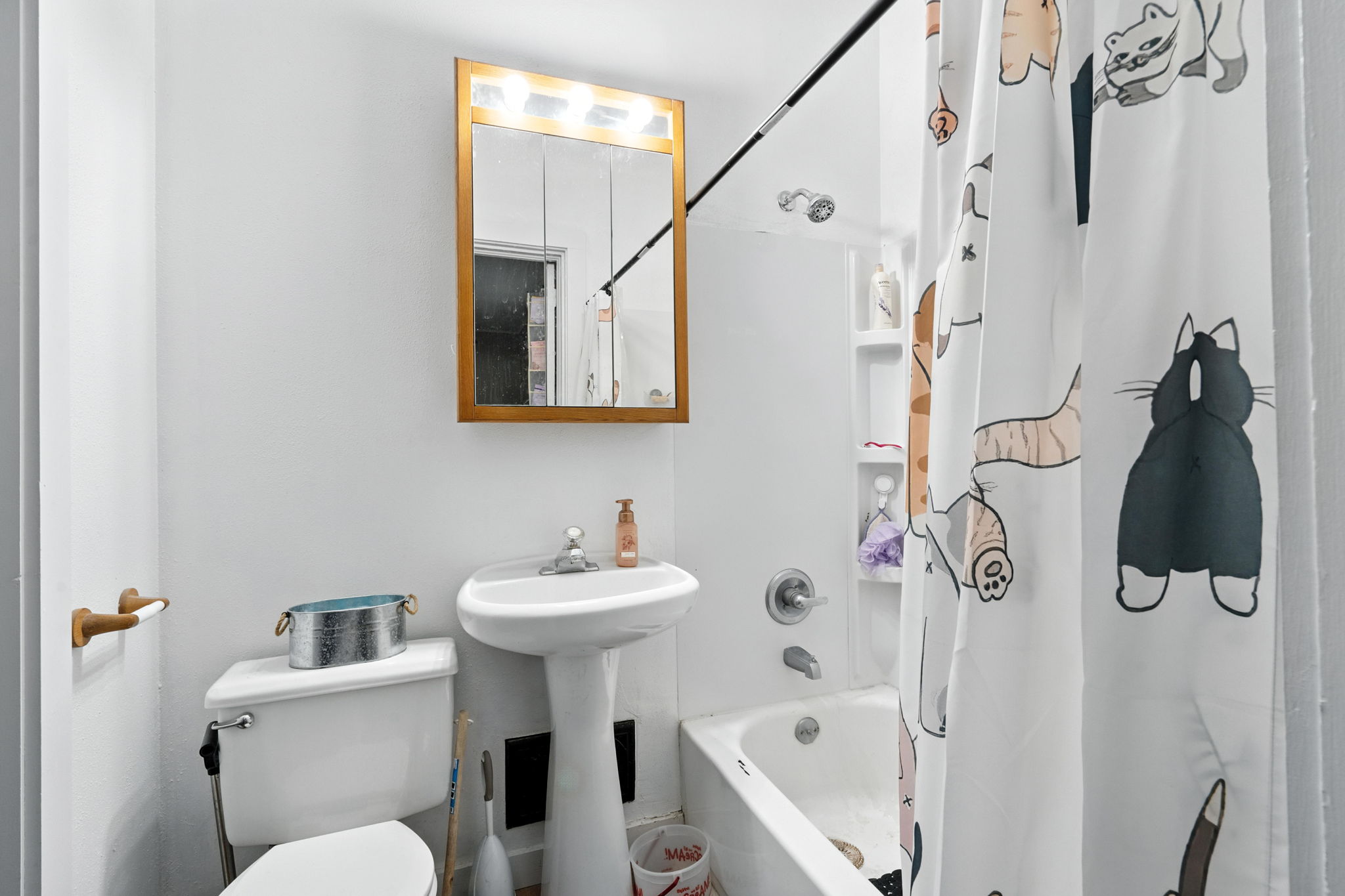  Photo 11