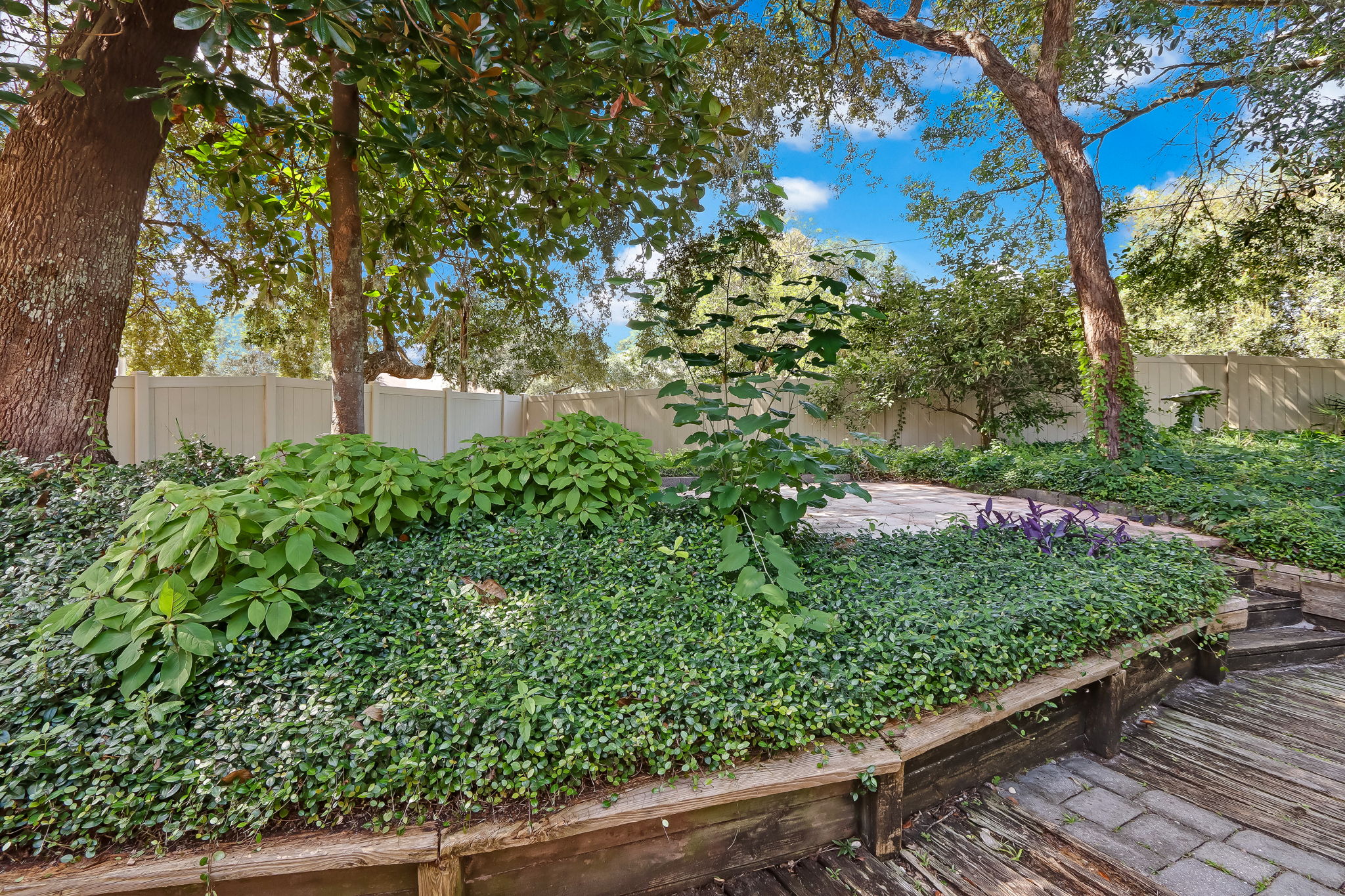 Backyard