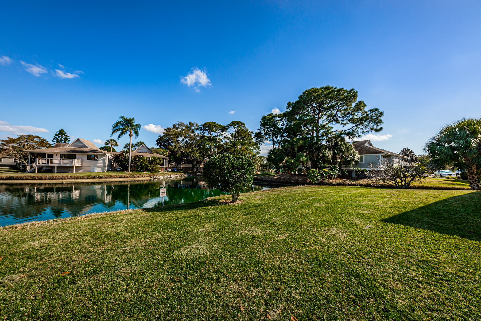 Backyard1-2