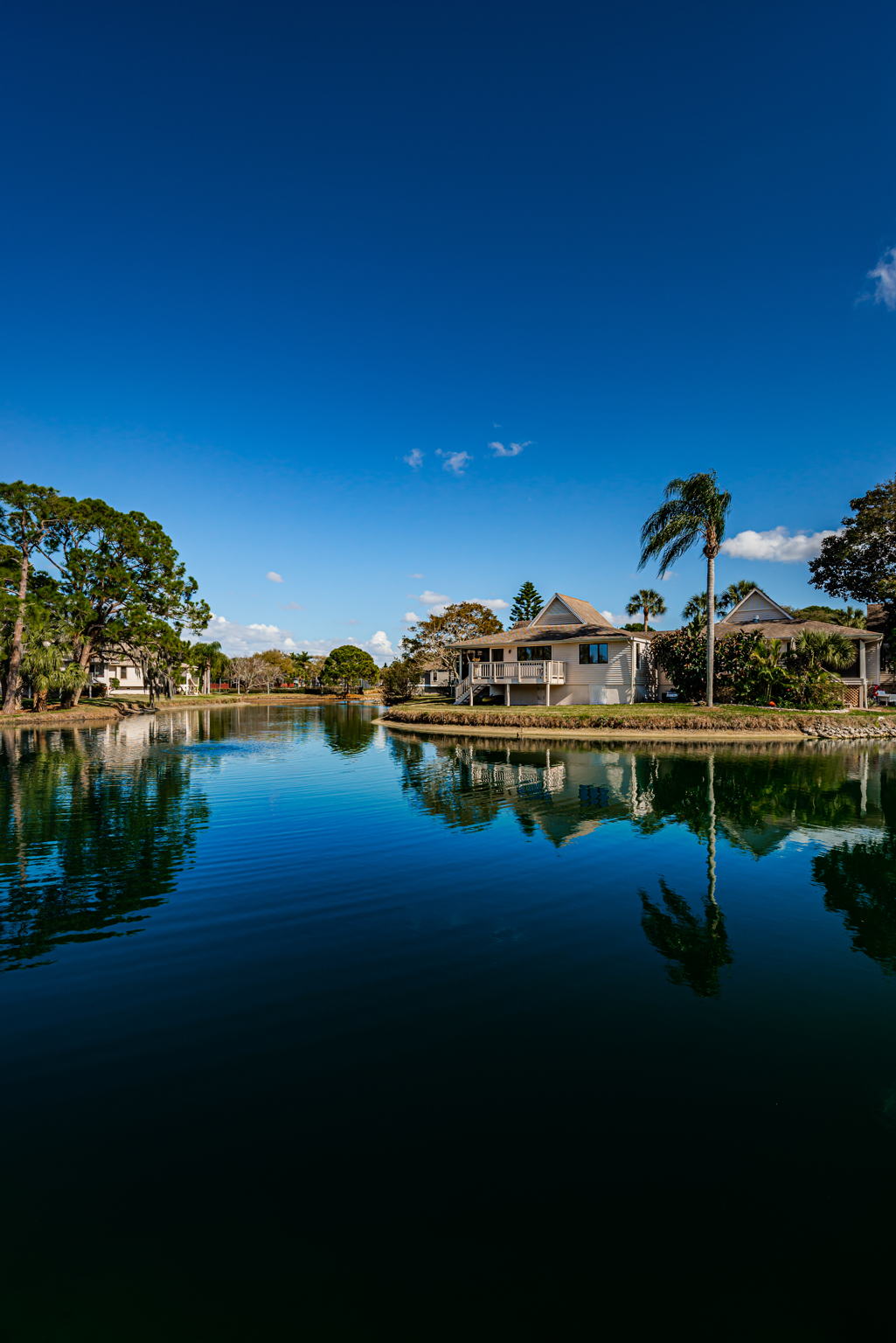 Water View2