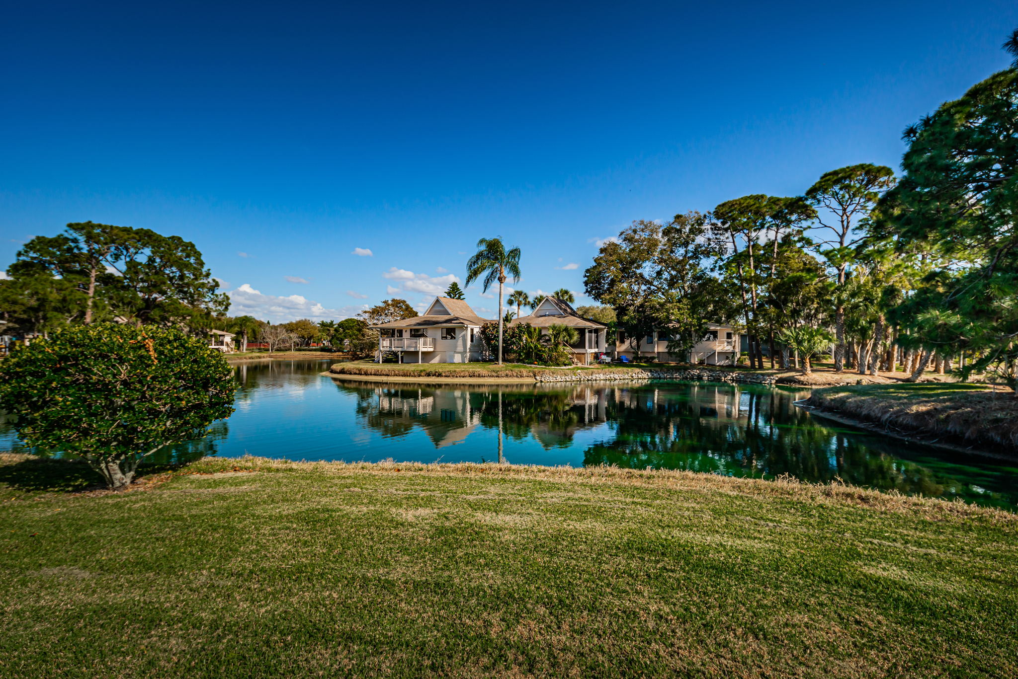 Backyard6
