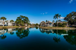 Water View1
