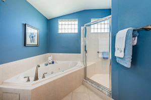 Master Bathroom1b-2