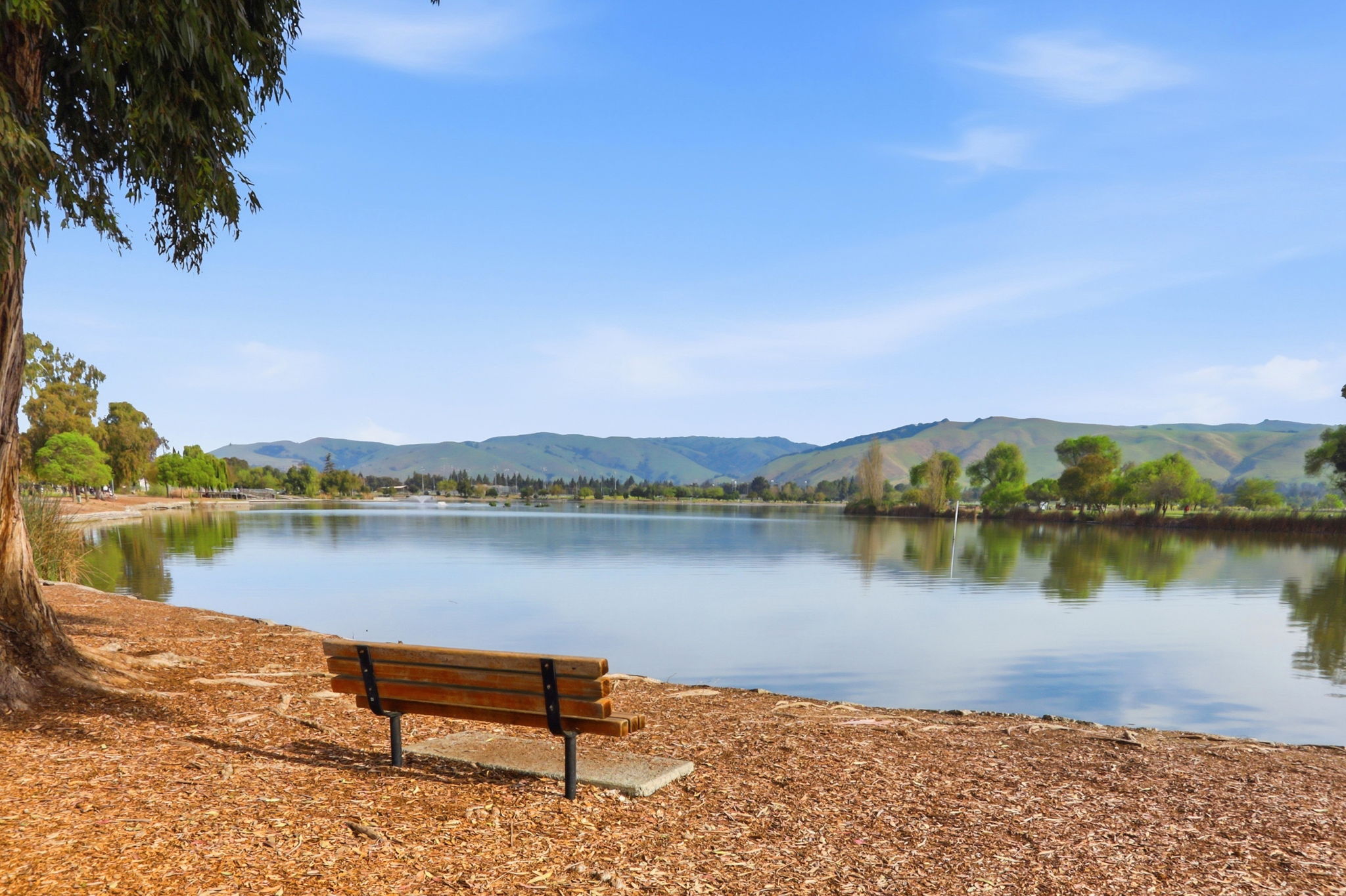 069_F8_1007 Vardin Terrace