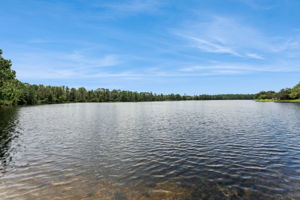  Photo 50