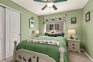  Photo 47