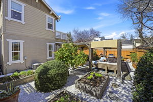 Raised beds and fruit trees!