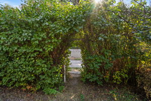  Photo 54