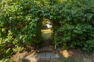  Photo 56